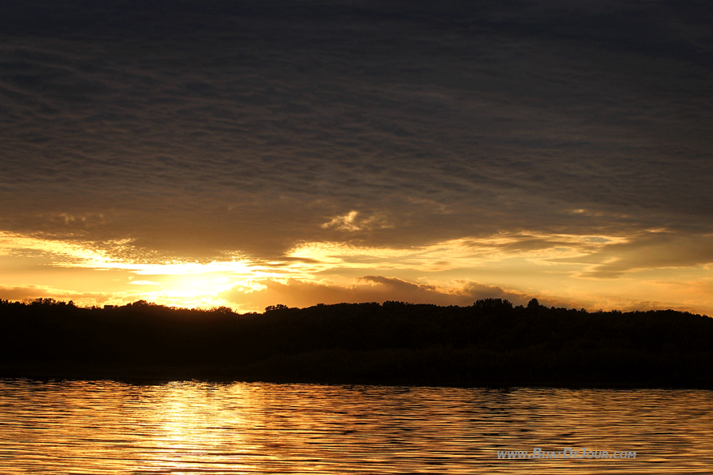 Golden Sunset